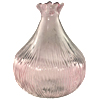 ShellPinkFlora100.jpg