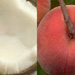 coconutpeaches11.jpg