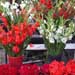 flowershop11.jpg