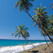 hawaiianbreeze11.jpg