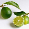 lime-tree-reed-diffuser-oil.jpg