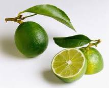 limetree1.jpg