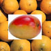 mangomandarin11.jpg