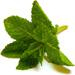 peppermint11.jpg