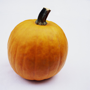 pumpkin.jpg