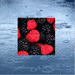 raspberryrain11.jpg