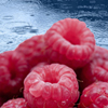 raspberry-rain-reed-diffuser-oil.jpg