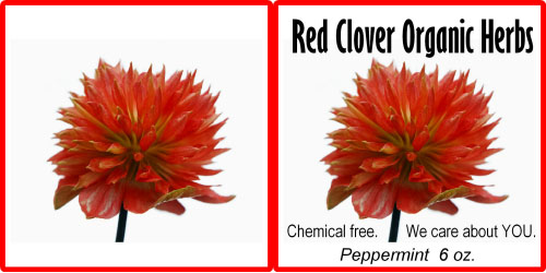 Custom Label - Red Clover